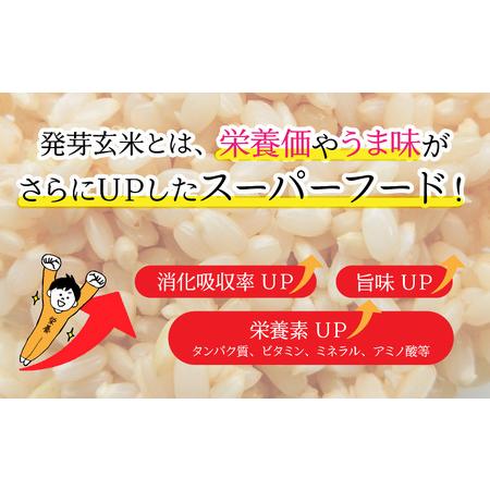 ふるさと納税 【令和7年産】発芽玄米 コシヒカリ「特選」特別栽培米使用 3kg×2袋（計6kg）【米 こしひかり 玄米 ギャバ GABA 無農薬 特別栽.. 福井県坂井市_1