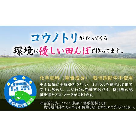 ふるさと納税 【令和7年産】発芽玄米 コシヒカリ「特選」特別栽培米使用 3kg×2袋（計6kg）【米 こしひかり 玄米 ギャバ GABA 無農薬 特別栽.. 福井県坂井市_2
