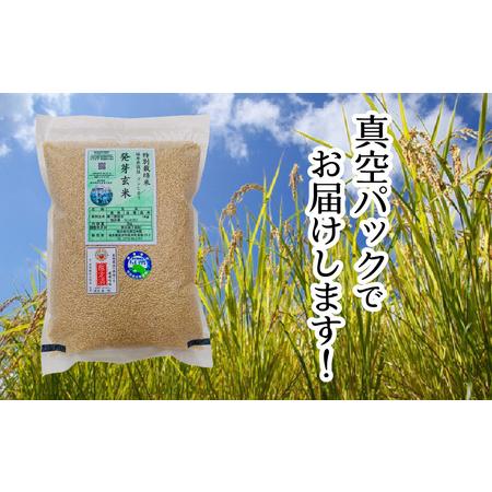 ふるさと納税 【令和7年産】発芽玄米 コシヒカリ「特選」特別栽培米使用 3kg×2袋（計6kg）【米 こしひかり 玄米 ギャバ GABA 無農薬 特別栽.. 福井県坂井市_3