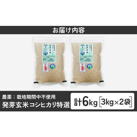 ふるさと納税 【令和7年産】発芽玄米 コシヒカリ「特選」特別栽培米使用 3kg×2袋（計6kg）【米 こしひかり 玄米 ギャバ GABA 無農薬 特別栽.. 福井県坂井市_4