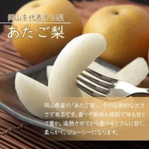 ふるさと納税 岡山県産 あたご 梨 2玉 合計約1.8kg 梨 なし 果物 フルーツ 2026年 岡山県岡山市_1