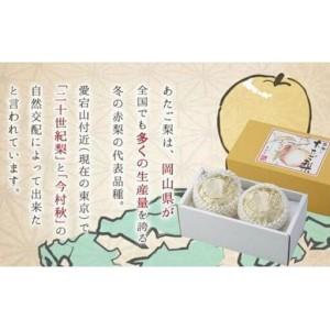 ふるさと納税 岡山県産 あたご 梨 2玉 合計約1.8kg 梨 なし 果物 フルーツ 2026年 岡山県岡山市_3