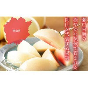 ふるさと納税 2026年  岡山   白 桃   エース 4〜6玉 約1kg JAおかやま（早生種・中生種）｜ 桃 岡山県岡山市の画像