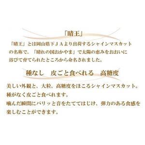 ふるさと納税 ぶどう 2026年  シャイン マスカット 晴王 3房〜6房 約1.5kg ブドウ 葡萄  岡山県産 国産 フルーツ 果物 ギフト 岡山県岡山市の画像