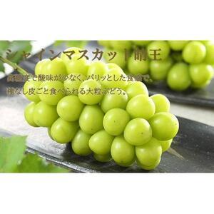 ふるさと納税 ぶどう 2026年  ニュー ピオーネ 1房 約600g シャイン マスカット 晴王 1房 約600g（3Lサイズ）詰め合わせ 岡山県産 国産 フルーツ.. 岡山県岡山市の画像