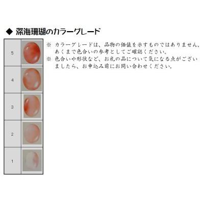 ふるさと納税 深海の秘宝：珊瑚の置物D 珊瑚 高知県宿毛市の画像
