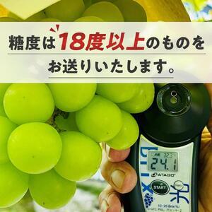ふるさと納税 ぶどう 2026年  シャインマスカット 厳選 秀品 約1kg 合計2房 農林大臣賞受賞  家庭用 ギフト 贈答用 贈り物 岡山 果物 フルーツ  .. 岡山県岡山市の画像