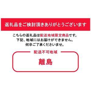 ふるさと納税 桃 2026年先行予約 岡山県産 白桃 約1.2kg 4〜6玉 お届け 7月上旬〜7月下旬 岡山県岡山市の画像