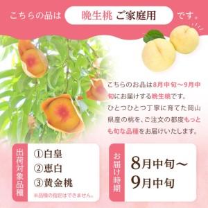 ふるさと納税 2026年 先行予約 ご家庭用 岡山 の 桃 固め 晩生種 約2kg（5〜9玉）（黄金桃の場合もあります）| 桃 岡山県岡山市の画像