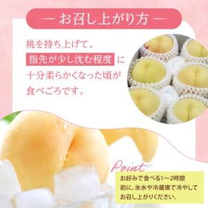 ふるさと納税 2026年 先行予約 ご家庭用 岡山 の 桃 固め 晩生種 約2kg（5〜9玉）（黄金桃の場合もあります）| 桃 岡山県岡山市の画像