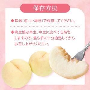ふるさと納税 2026年 先行予約 ご家庭用 岡山 の 桃 固め 晩生種 約2kg（5〜9玉）（黄金桃の場合もあります）| 桃 岡山県岡山市の画像