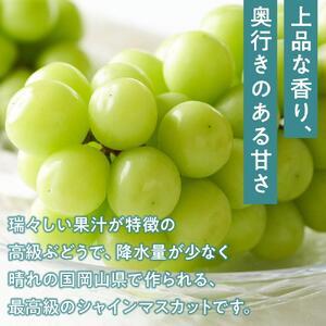 ふるさと納税 桃 ぶどう 2026年  白桃 2玉（1玉200g以上） シャイン マスカット 『晴王』2房（合計約940g）詰合せ もも 葡萄 岡山県産 国産 フル.. 岡山県岡山市の画像