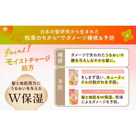 ふるさと納税 いち髪 濃密W保湿ケア シャンプー＆コンディショナー 詰