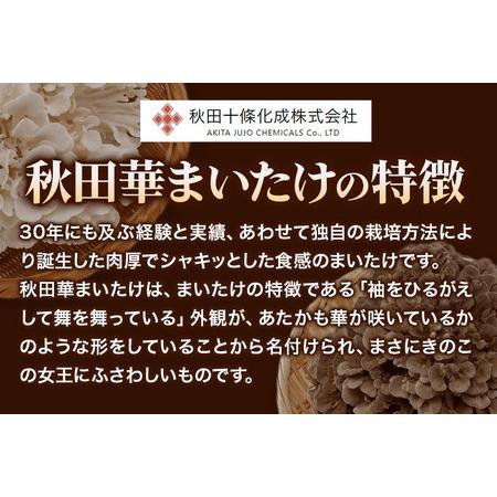 ふるさと納税 秋田華まいたけ 生まいたけセット 黒まいたけ 約500g 白まいたけ 約500g 舞茸 秋田県秋田市_3