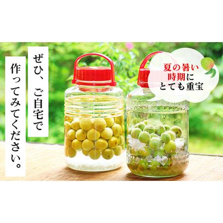 ふるさと納税 旬をお届け！青梅【２L〜３Lサイズ10kg】 ANAR022 群馬県安中市｜furunavi｜04