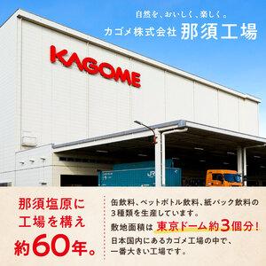 ふるさと納税 【定期便3ヵ月】 カゴメ　野菜生活100　オリジナル　190g缶×30本 1ケース 毎月届く 3ヵ月 3回コース【 栃木県 那須塩原市.. 栃木県那須塩原市_2
