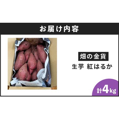 ふるさと納税 畑の金貨　生芋　紅はるか 4kg　K181-006 野菜 さつまいも さつま芋 薩摩芋 サツマイモ 長期 熟成 芋 ねっとり しっとり 焼き.. 鹿児島県鹿児島市｜furunavi｜05