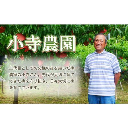 ふるさと納税 【先行予約】もも 桃 恵白・白麗・白露・白皇 いずれか1品種をお届け 2kg 6〜9玉 小寺農園《8月上旬-8下旬頃出荷》 岡山県 笠岡市 .. 岡山県笠岡市の画像