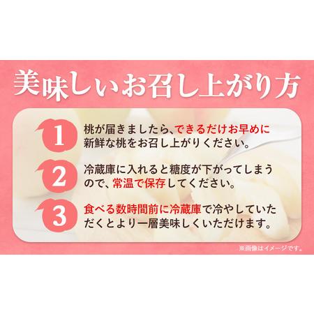 ふるさと納税 【先行予約】もも 桃 恵白・白麗・白露・白皇 いずれか1品種をお届け 2kg 6〜9玉 小寺農園《8月上旬-8下旬頃出荷》 岡山県 笠岡市 .. 岡山県笠岡市の画像