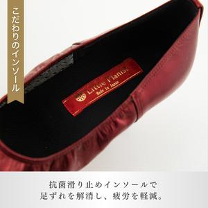 ふるさと納税 【22cm】ヒール高5cm 3WAYシリーズ最高峰ピアノシューズ アプロディーテ(ワイン) | ピアノシューズ 特許 茨城県龍ケ崎市の画像