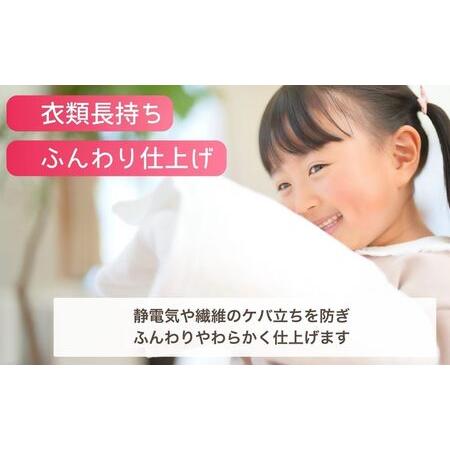ふるさと納税 柔軟剤 ピンクソフナー(5L)[柔軟剤]×3個 | 柔軟剤 柔軟剤 柔軟剤 柔軟剤 洗濯 洗濯 茨城県龍ケ崎市の画像