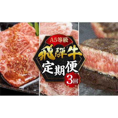 ふるさと納税 A5 飛騨牛3回定期便 トキノ屋食品 岐阜県本巣市