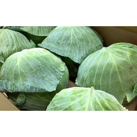 ふるさと納税 花餃子110個(22個入×5袋）2ヶ月毎6回お届け 加工品 惣菜 冷凍餃子 ヘルシー おかず つまみ 中華 お酒のあて 夕飯 餃子パーティ.. 静岡県森町_1