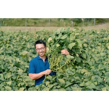 ふるさと納税 【京丹波野菜セット】京丹波 旬菜セット スモール 6〜8品目 【野菜詰め合わせ 京野菜 】 [010KK013] 京都府京丹波町の画像