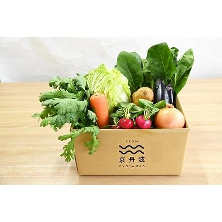 ふるさと納税 【京丹波野菜セット】京丹波 旬菜セット スモール 6〜8品目 【野菜詰め合わせ 京野菜 】 [010KK013] 京都府京丹波町の画像