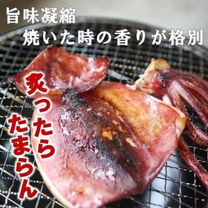 ふるさと納税 北三陸産 真イカの一夜干し 3枚入×3袋 いか一夜干し いか イカ焼き イカ飯 BBQ イカゲソ 岩手県普代村の画像