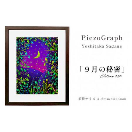 ふるさと納税 相根良孝 ピエゾグラフ 絵画「9月の秘密」 額装サイズ412mmx526mm 額縁付き アート インテリア 現代版画 出産祝い 進学祝い 成人.. 京都府綾部市