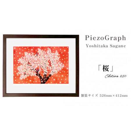 ふるさと納税 相根良孝 ピエゾグラフ 絵画「桜」 額装サイズ526mmx412mm 額縁付き アート インテリア 現代版画 出産祝い 進学祝い 成人祝い 就職.. 京都府綾部市