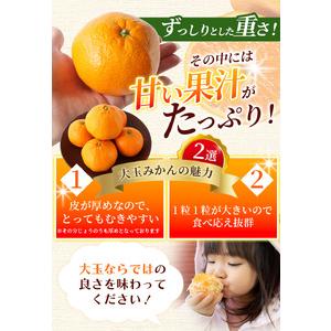 ふるさと納税 ボリューム満点！ 秀優品 大玉 温州みかん 4kg【2L〜3Lサイズ】【2026年12月から2027年3月下旬頃に順次発送】＜味好農園＞/ 温.. 和歌山県紀美野町 |  | 02