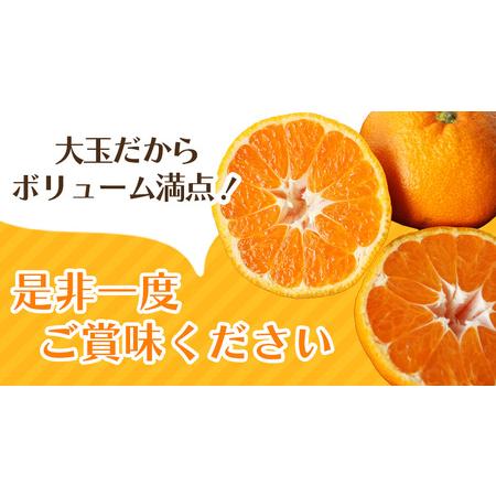 ふるさと納税 ボリューム満点！ 秀優品 大玉 温州みかん 4kg【2L〜3Lサイズ】【2026年12月から2027年3月下旬頃に順次発送】＜味好農園＞/ 温.. 和歌山県紀美野町 |  | 03