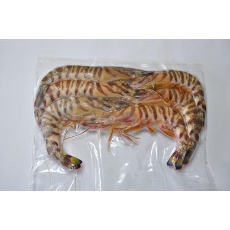 ふるさと納税 【訳あり】伊万里産　冷凍車海老1.25kg(加熱用、250gx5pc) くるまえび クルマエビ えび エビ　010-C197 佐賀県伊万里市_1