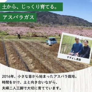 ふるさと納税 No.2879 【訳あり】アスパラガス 約1kg サイズ不揃い 曲がり キズあり【2026年発送】 福島県福島市_1