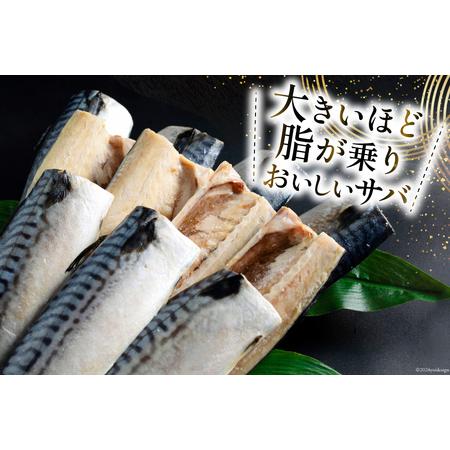 ふるさと納税 【ふるなび限定】訳あり 塩サバ 3kg [宮城県 気仙沼市 20564146-F] サバ FN-Limited-PR 宮城県気仙沼市_2