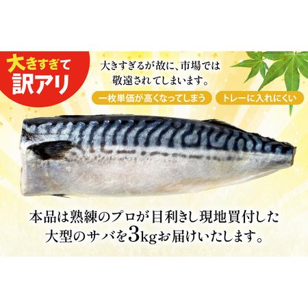 ふるさと納税 【ふるなび限定】訳あり 塩サバ 3kg [宮城県 気仙沼市 20564146-F] サバ FN-Limited-PR 宮城県気仙沼市_3