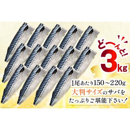 ふるさと納税 【ふるなび限定】訳あり 塩サバ 3kg [宮城県 気仙沼市 20564146-F] サバ FN-Limited-PR 宮城県気仙沼市_4