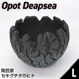 セキグチ　タカヒトOpot 美品 セキグチタカヒト Opot （S） Palebule C | Galerie NUAGE