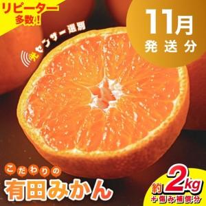 ふるさと納税 みかん 【2026年11月発送予約分】【家庭用】こだわりの有田みかん 約2kg【nuk159-11】 和歌山県すさみ町 | 