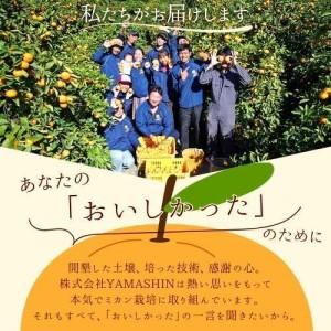 ふるさと納税 みかん 【2026年11月発送予約分】【家庭用】こだわりの有田みかん 約2kg【nuk159-11】 和歌山県すさみ町 |  | 01