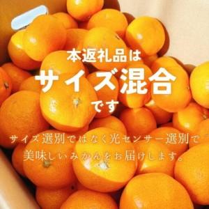 ふるさと納税 みかん 【2026年11月発送予約分】【家庭用】こだわりの有田みかん 約2kg【nuk159-11】 和歌山県すさみ町 |  | 02