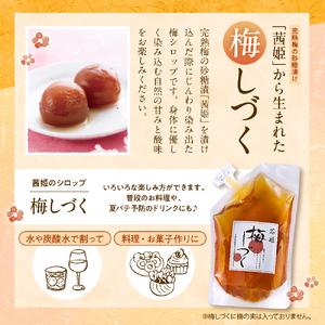 ふるさと納税 梅シロップ「梅しづく」290ml×6袋（３倍から５倍希釈） 有限会社壽屋提供 山形県 東根市 hi004-hi036-079 国産 シロップ .. 山形県東根市の画像