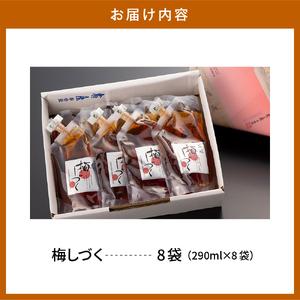 ふるさと納税 梅シロップ「梅しづく」290ml×8袋（３倍から５倍希釈） 有限会社壽屋提供 山形県 東根市 hi004-hi036-080 国産 シロップ .. 山形県東根市の画像