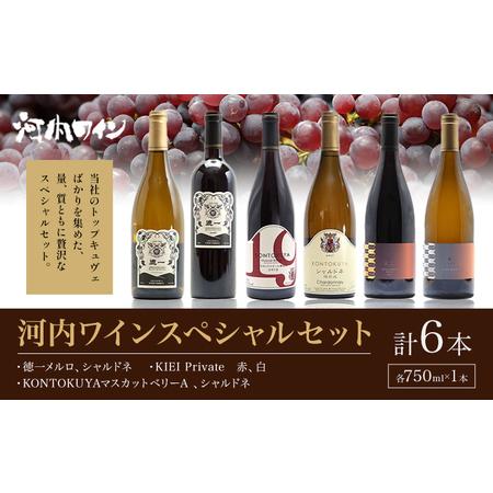 KIEI メルロ 2018 & ケルナー 2022 セット　河内ワイン ふるさと納税 河内ワイン スペシャルセット 徳一メルロ シャルドネ