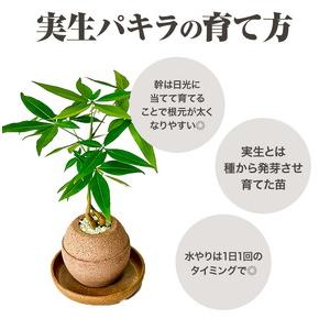 【はち】 ゆうちょ 4