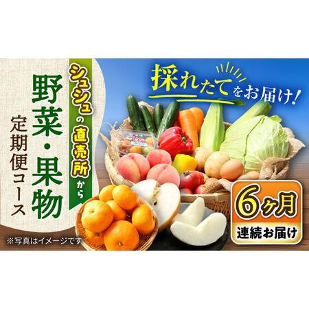 ふるさと納税 [6回定期便]シュシュの直売所から野菜・果物定期便コース / 便利な定期便 バラエティ定期便 野菜 やさい 定期便 果物 くだもの .. 長崎県大村市