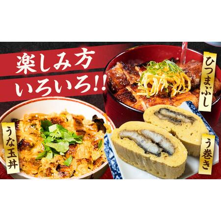 ふるさと納税 【全3回定期便】福岡県産 うなぎ 蒲焼 大2尾 合計 320 g（1尾あたり 160g以上）[VAD011] 国産 うなぎ 福岡県豊前市_3