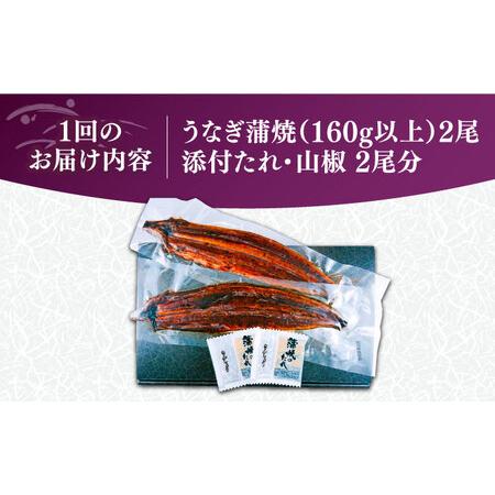 ふるさと納税 【全3回定期便】福岡県産 うなぎ 蒲焼 大2尾 合計 320 g（1尾あたり 160g以上）[VAD011] 国産 うなぎ 福岡県豊前市_4